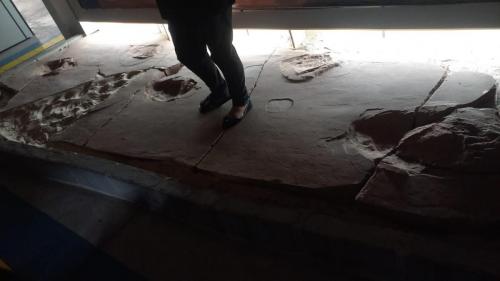 WhatsApp-Image-2023-05-25-at-08.38.03