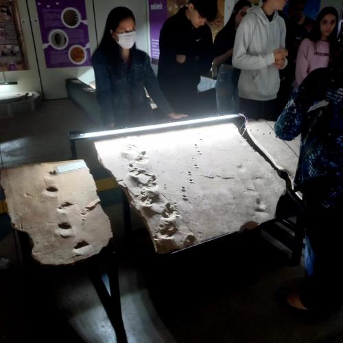 WhatsApp-Image-2023-05-25-at-08.47.28