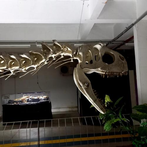 WhatsApp-Image-2023-05-25-at-08.54.50