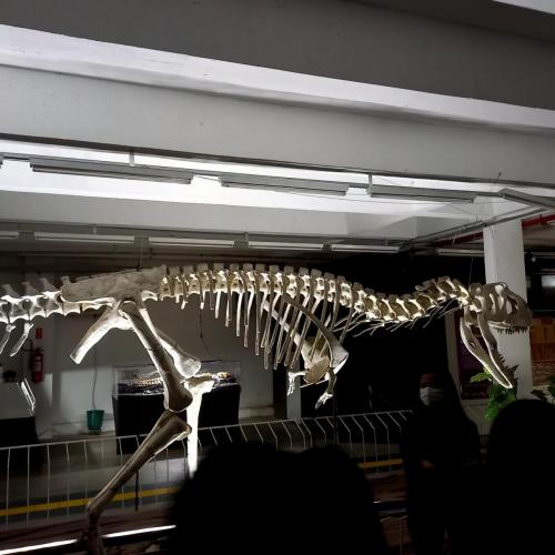 WhatsApp-Image-2023-05-25-at-08.54.501