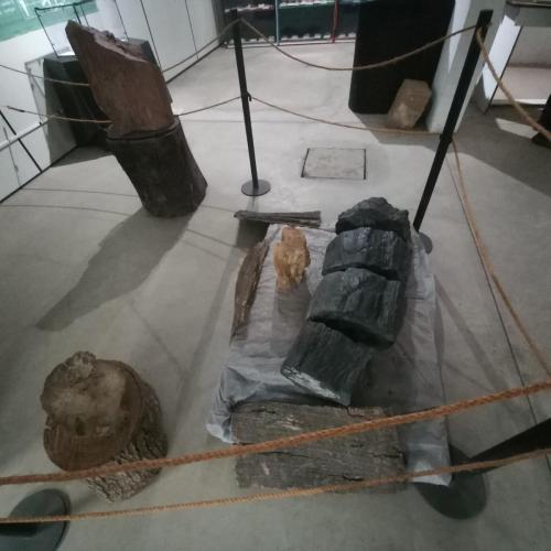 WhatsApp-Image-2023-05-25-at-08.55.34