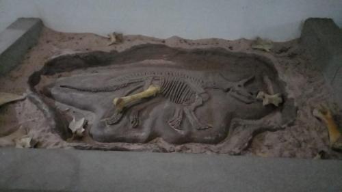 WhatsApp-Image-2023-05-25-at-08.55.59