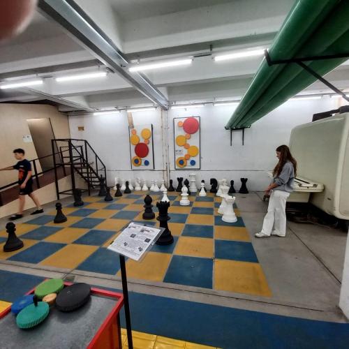 WhatsApp-Image-2023-05-25-at-10.26.09