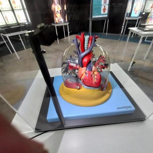 WhatsApp-Image-2023-05-25-at-10.27.40