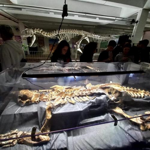 WhatsApp-Image-2023-05-25-at-10.27.421