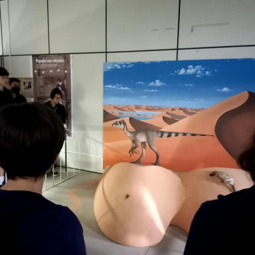 WhatsApp-Image-2023-05-25-at-10.27.431