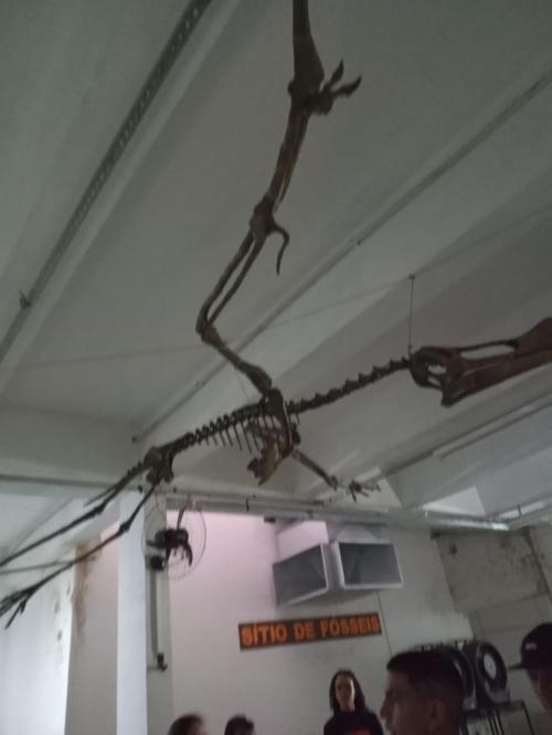 WhatsApp-Image-2023-05-25-at-11.55.14