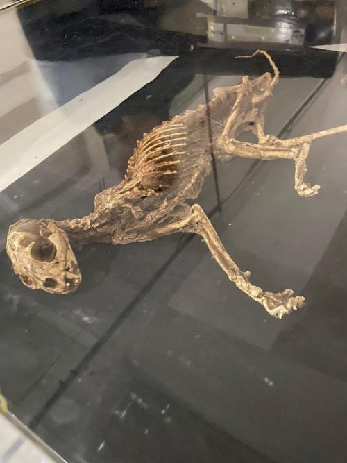 WhatsApp-Image-2023-05-25-at-12.01.19