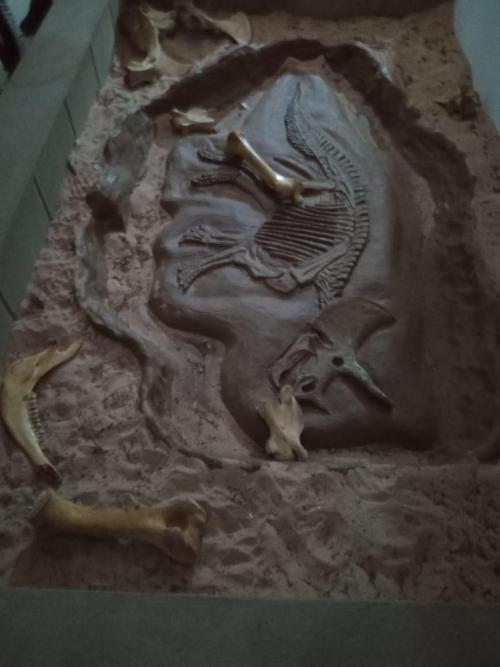 WhatsApp-Image-2023-05-25-at-12.31.36