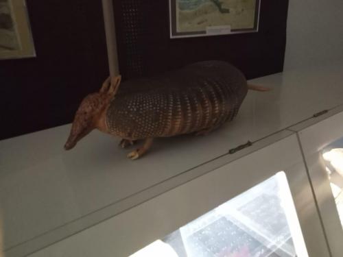 WhatsApp-Image-2023-05-25-at-12.31.371