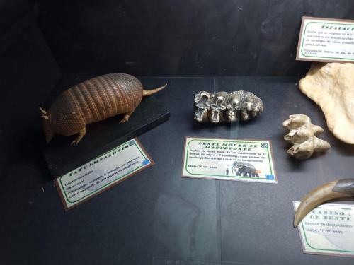 WhatsApp-Image-2023-05-25-at-12.31.372