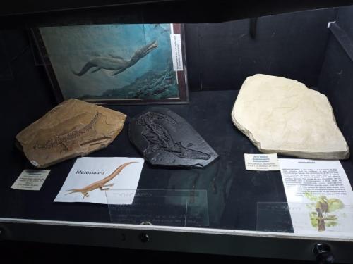 WhatsApp-Image-2023-05-25-at-12.31.38