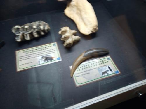 WhatsApp-Image-2023-05-25-at-12.31.381