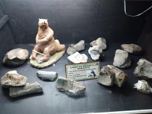 WhatsApp-Image-2023-05-25-at-12.31.39