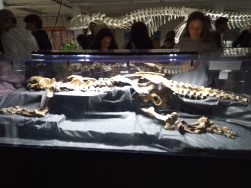 WhatsApp-Image-2023-05-25-at-12.31.391