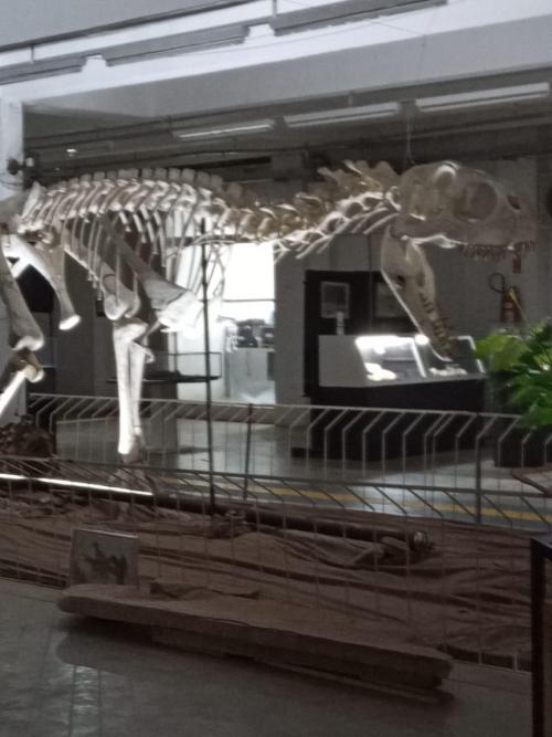 WhatsApp-Image-2023-05-25-at-12.31.393