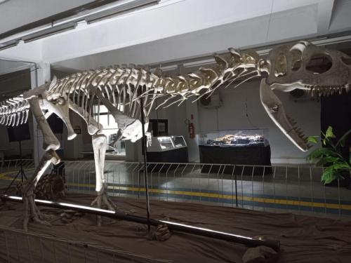 WhatsApp-Image-2023-05-25-at-12.31.401