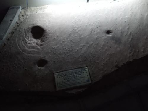 WhatsApp-Image-2023-05-25-at-12.31.402