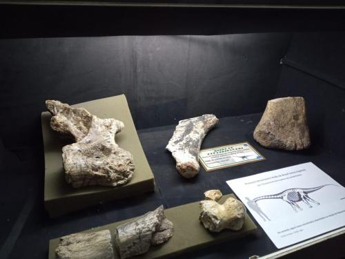 WhatsApp-Image-2023-05-25-at-12.31.411