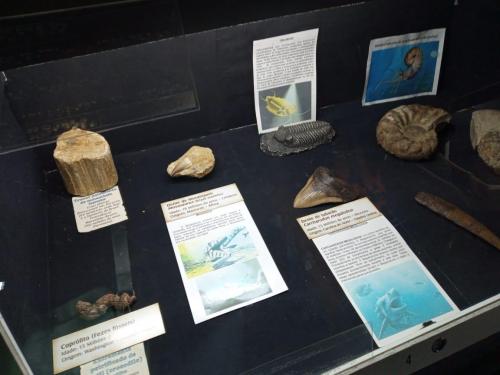 WhatsApp-Image-2023-05-25-at-12.31.42