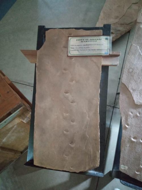 WhatsApp-Image-2023-05-25-at-12.31.431