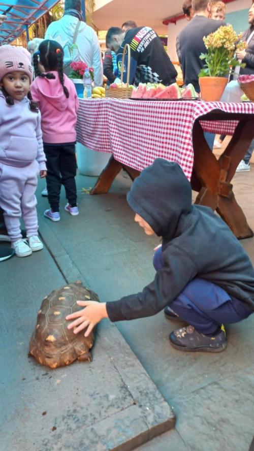 DIA-DOS-PAIS-2024-360